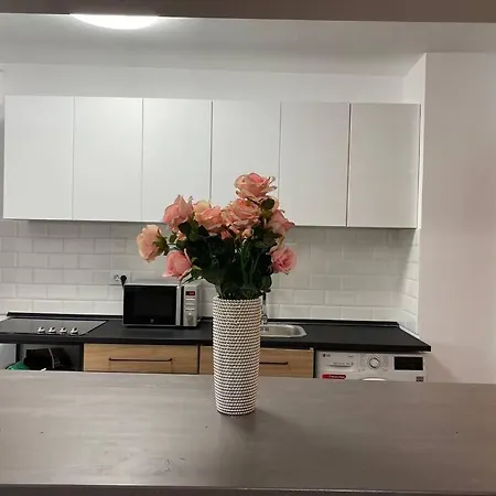 Apartment New Luxury Flat At Unirii And Parliament *