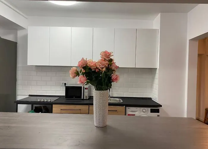 Apartament New Luxury Flat At Unirii And Parliament *